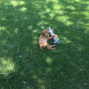 Meet your Posher, Marlene